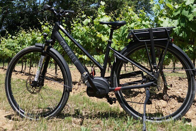 Wine of the Luberon by e-bike... Not to be missed ! - Final Thoughts: Who Should Book This Tour?