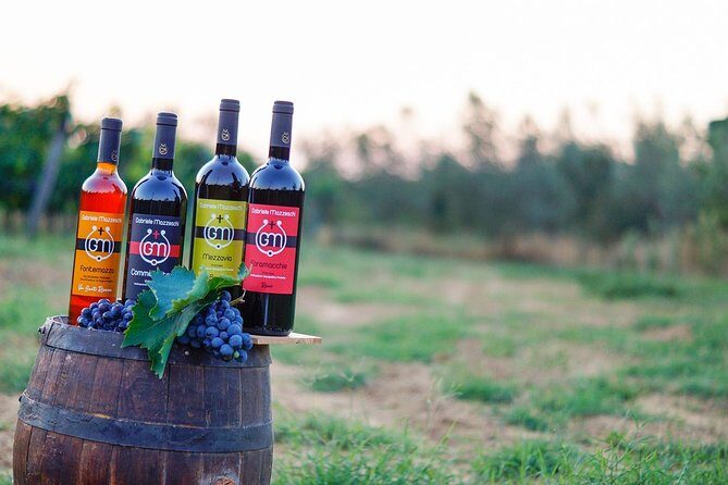 Wine & Oil Tasting Experience - An In-Depth Look at the Experience