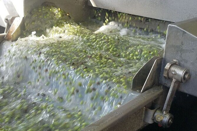 Wine, Olive Oil, and Honey Tour with Winemaker - Exploring Crete’s Countryside