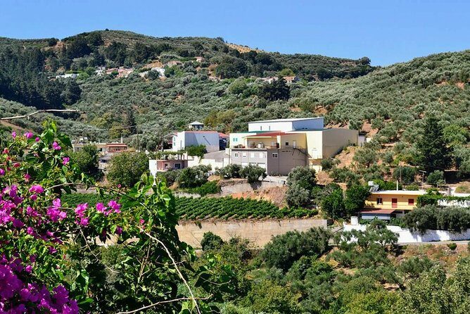 Wine & Olive Oil tasting one day private tour in Crete - A Detailed Look at What to Expect