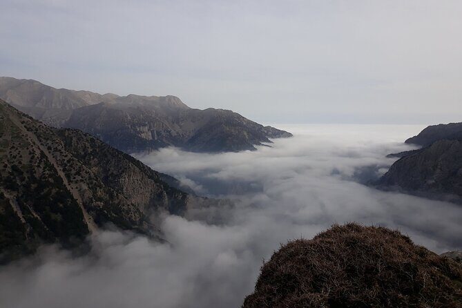 Wine & Olive Oil Tour with lunch at the White Mountains - Exploring Crete’s Interior on a Personal Level