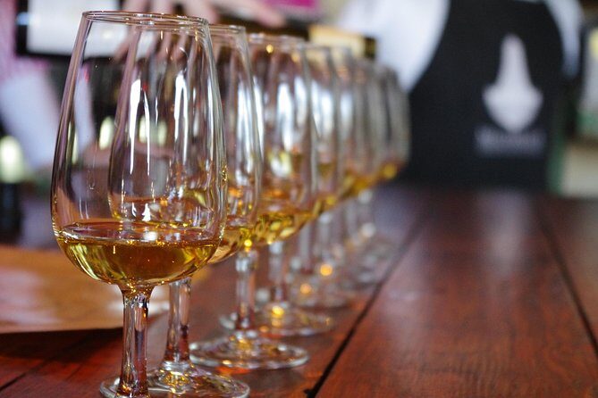 WINE ON WAIHEKE , Scenic and PEMIUM Wine tasting MAX 11 clients - Who Would Love This Tour?
