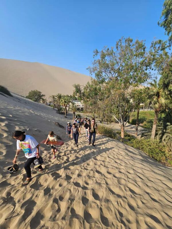 Wine, Pisco and Dune Buggy Experience - The Value of This Experience