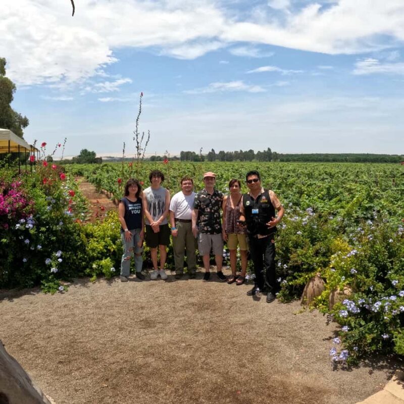 Wine, Pisco and Dune Buggy Experience - In The Sum Up
