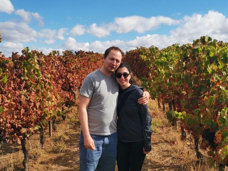 Wine , Roman Temple and Bone Chapel in half-day private tour - Why Choose This Tour?
