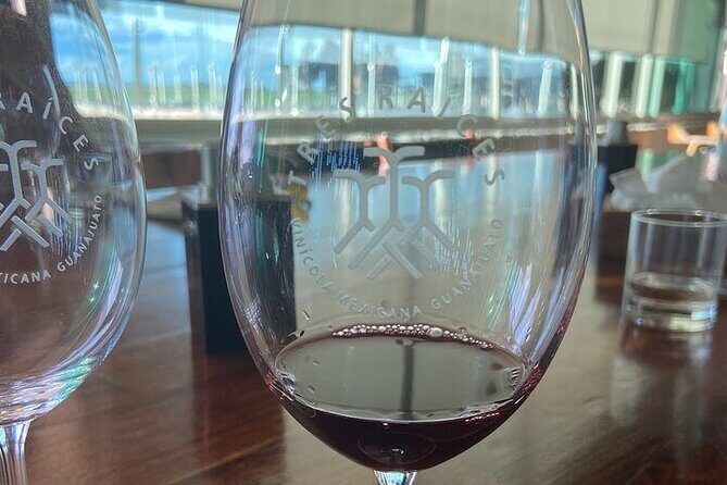 Wine Route !, Vineyards, wine tasting and pairing - A Closer Look at the Guanajuato Wine Route Experience