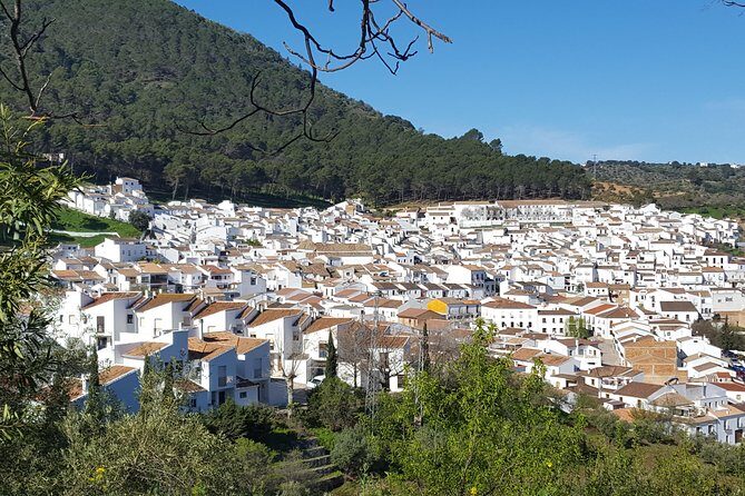 Wine & Tapas tour by electric bike (e-bike) including Ronda pickup (full day) - Final Thoughts