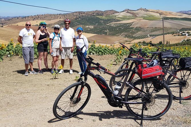 Wine & Tapas tour by electric bike (e-bike) including Ronda pickup (half day) - A Closer Look at the Ronda E-Bike Wine & Tapas Tour