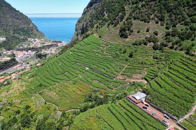 Wine taste, 4x4 Jeep Adventure and Cabo Girão Skywalk - Key Points