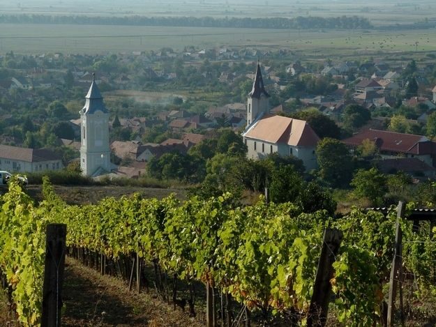 Wine taste in Tokaj Private Day Tour from Budapest - The Experience from a Traveler’s Perspective