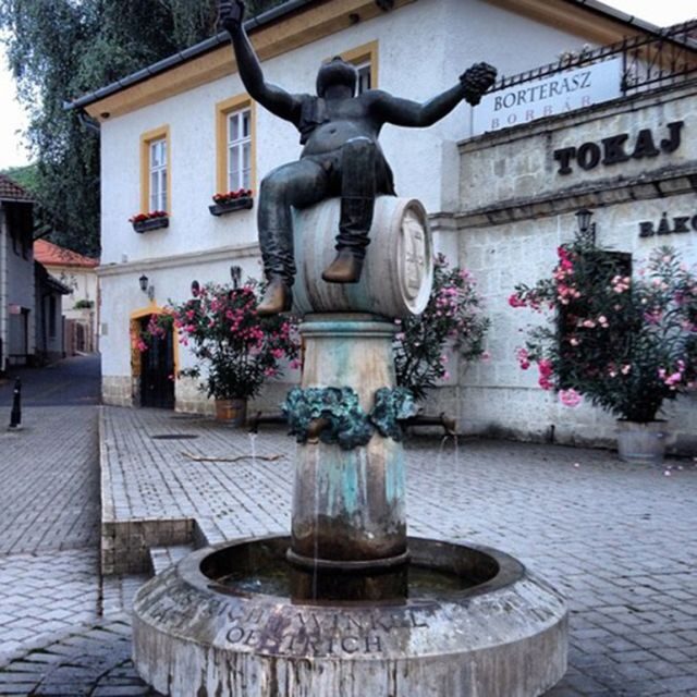 Wine taste in Tokaj Private Day Tour from Budapest - The Value of a Private Guided Tour
