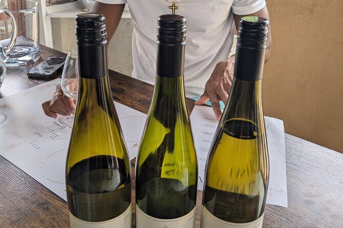 Wine Tasting Adventure Wanaka and Beyond - Final Thoughts