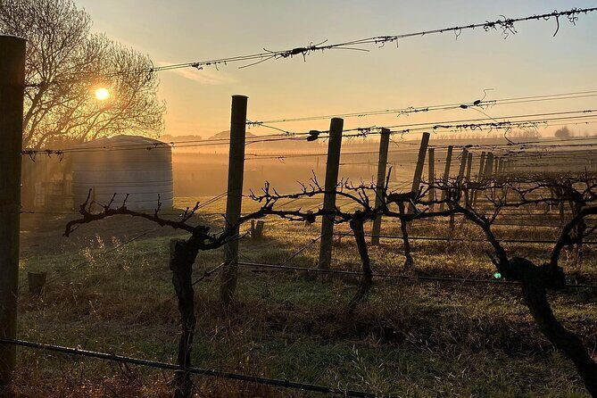 Wine Tasting and a house-made Bellarine Estate Charcuterie platter - Why This Tour Offers Good Value