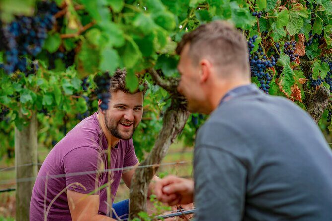 Wine Tasting and a house-made Bellarine Estate Charcuterie platter - The Sum Up