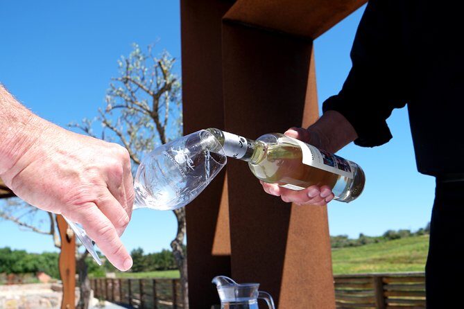 Wine Tasting and Art Tour - An In-Depth Look at the Wine Tasting and Art Tour