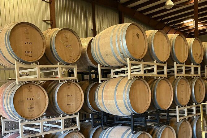 Wine Tasting And Boat Ride - A Detailed Look at the Wine Tasting and Boat Ride Experience in the Outer Banks