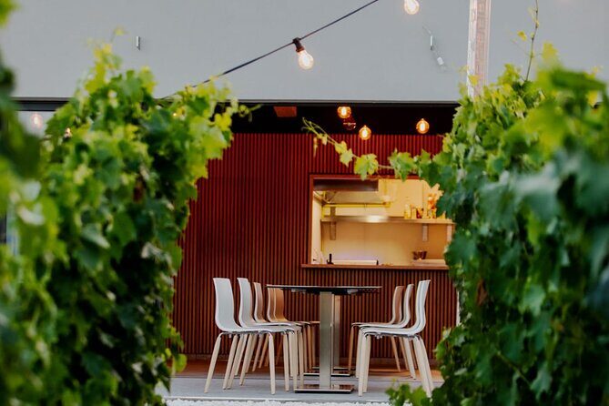 Wine Tasting and Food Pairing - Where Zinfandel Was Born - Key Points
