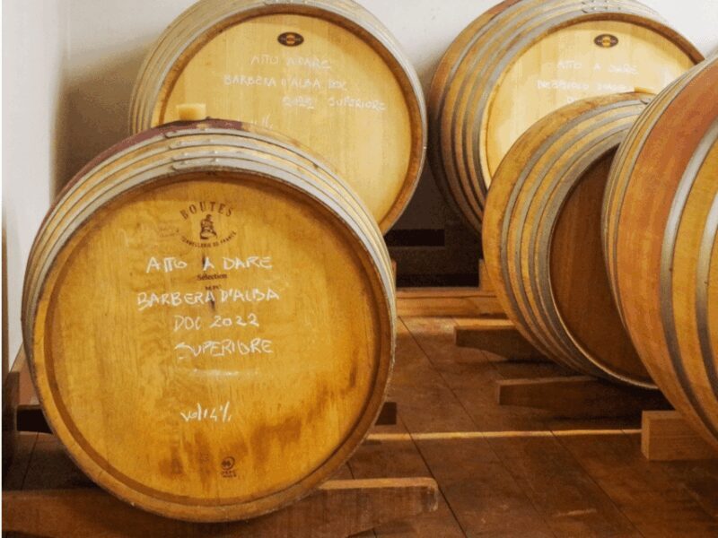 Wine Tasting and Food Pairings in Langhe and near Alba - An In-Depth Look at the Experience