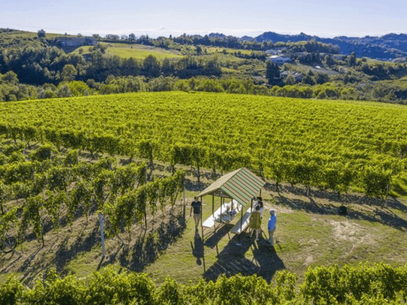 Wine Tasting and Food Pairings in Langhe and near Alba - Why This Tour Offers Great Value