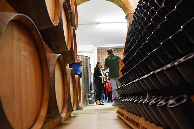 Wine Tasting and Guided Visit to the Vineyard and Cellar in S. Maria Imbaro - The Sum Up: Who will love this tour?