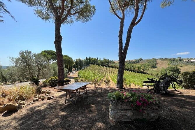Wine Tasting and History Guided Day Tour in Chianti - An Authentic Taste of Tuscany’s Heartland