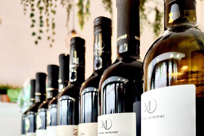 Wine Tasting and History Prague - Practical Details and Tips