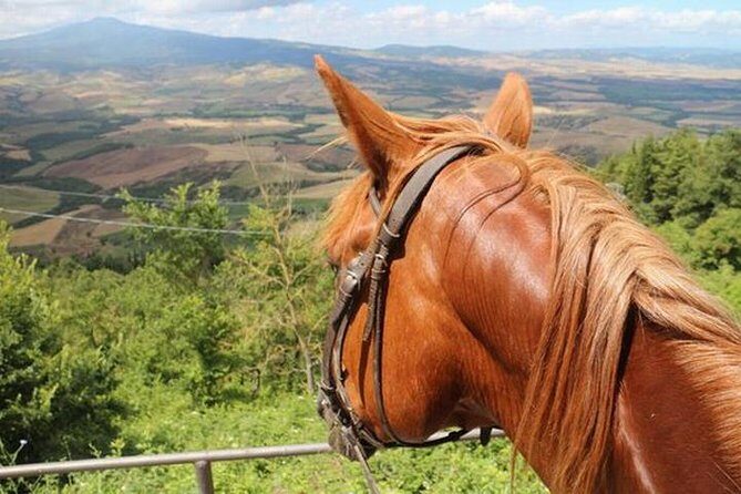 Wine tasting and horseback riding in Montepulciano, in Tuscany from Rome - Exploring Tuscany: Horseback Riding and Wine Tasting from Rome