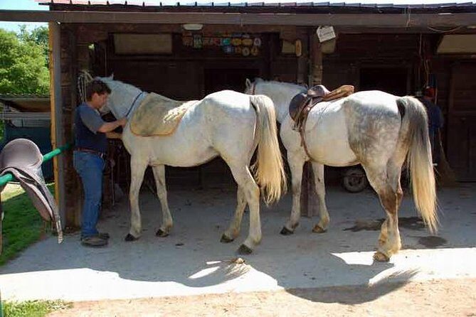 Wine tasting and horseback riding in Montepulciano, in Tuscany from Rome - FAQ