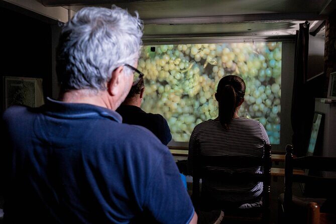 Wine tasting and immersive cellar tour - Who Should Consider This Tour?