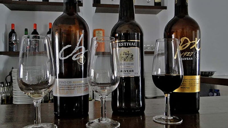 Wine Tasting and local tapas delight in Cordoba - Experience the Charm of Córdoba Through Its Unique Wines and Tapas