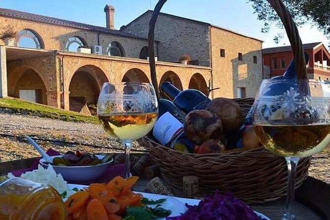 Wine tasting and Olive Oil in Tirana Surroundings - An In-Depth Look at the Tirana Surroundings Wine and Olive Oil Tour