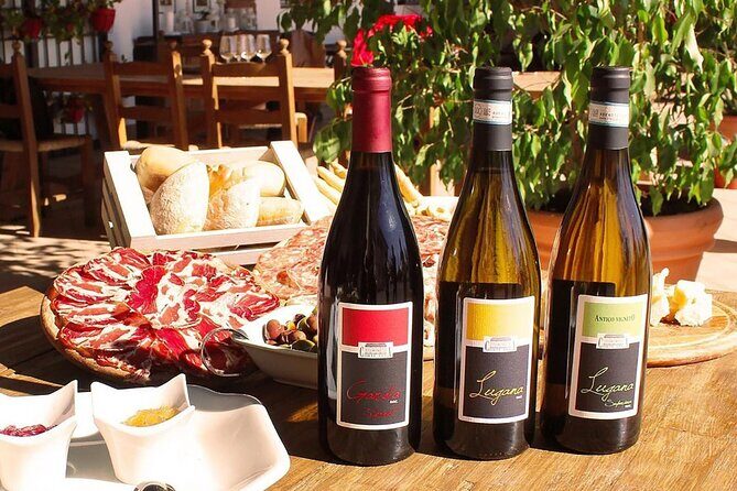 Wine Tasting and Tour of Lugana Wines in Sirmione - Final Thoughts