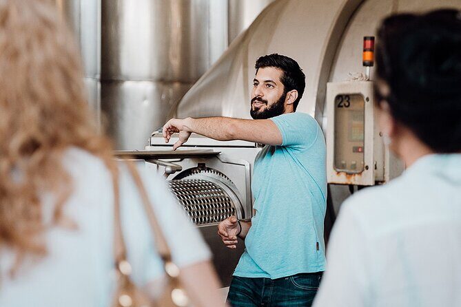 Wine tasting and winery tour at Fikardos Winery - Who Should Consider This Tour?