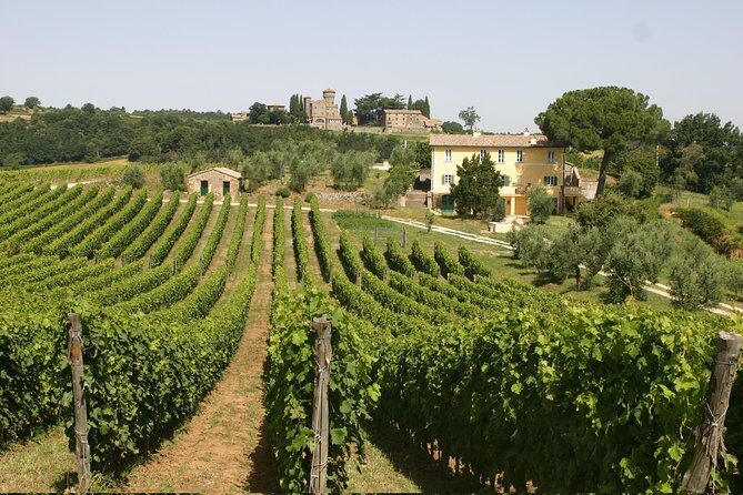 Wine Tasting and Winery tour - A Genuine Taste of Orvieto’s Wine Heritage