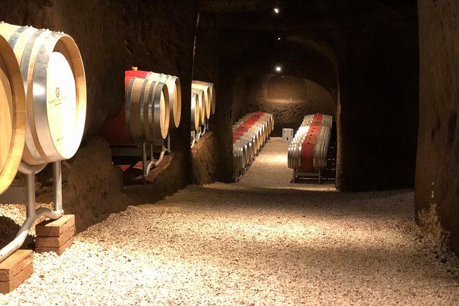 Wine Tasting and Winery tour - Key Points