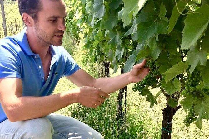 Wine Tasting and Winery tour - Why You Should Consider This Experience