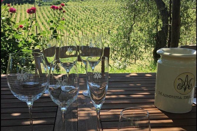 Wine Tasting and Winery tour - Final Thoughts