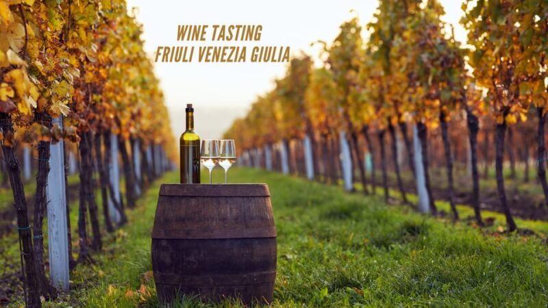 Wine tasting and winery tour in Friuli Venezia Giulia - Price and Value Analysis