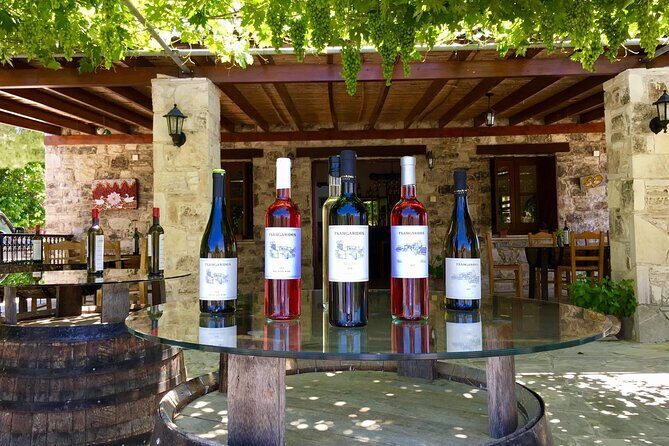 Wine Tasting and Winery Tour in Lemona Village, Paphos - Final Thoughts