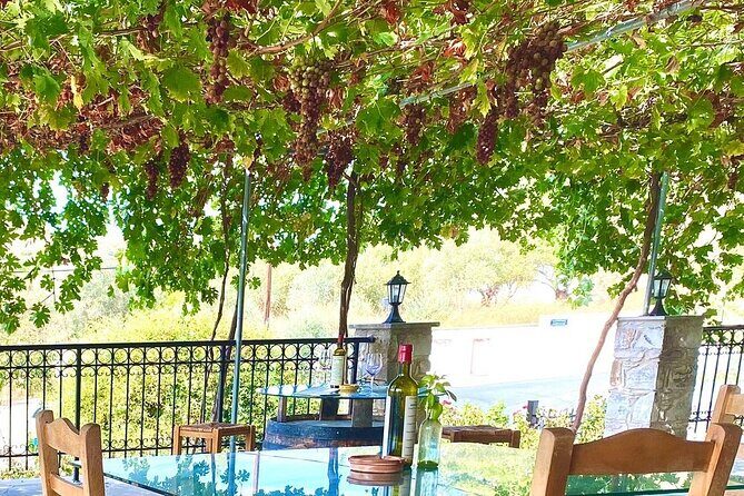 Wine Tasting and Winery Tour in Lemona Village, Paphos - FAQs