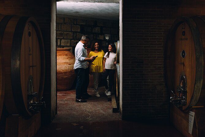 Wine Tasting and Winery Tour in Vesuvio National Park with Lunch - An In-Depth Look at the Experience
