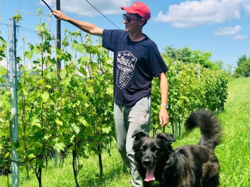 Wine Tasting and Winery Visit near Asti and Turin - The Food and Wine Pairings: A Taste of Piedmont