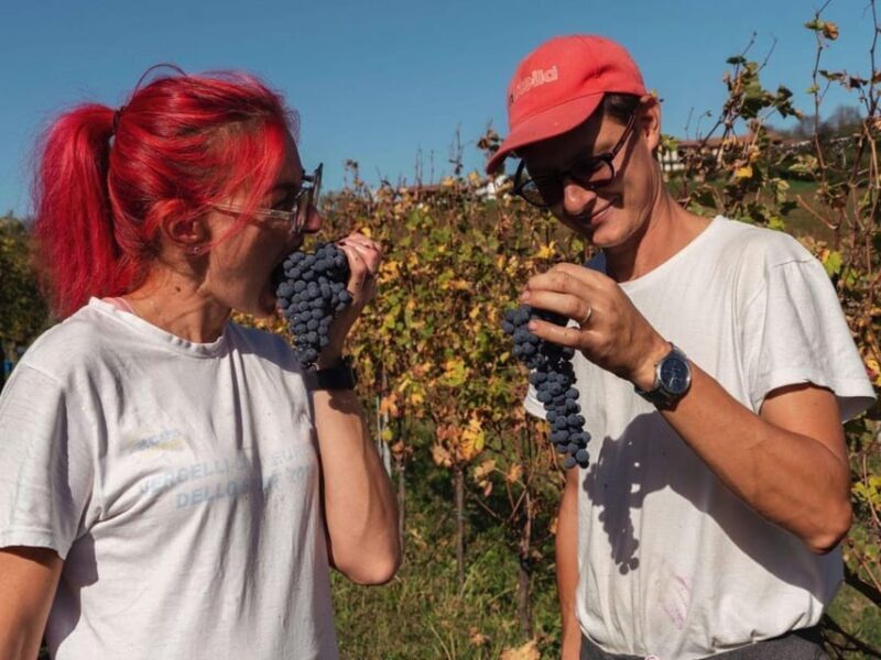 Wine Tasting and Winery Visit near Asti and Turin - Practical Details and Tips for Visitors