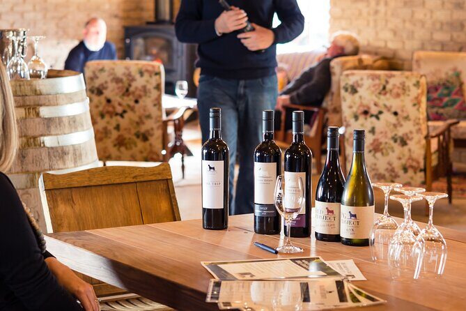Wine Tasting at our Cellar Door in Penola - Authentic Reviews and What Travelers Say
