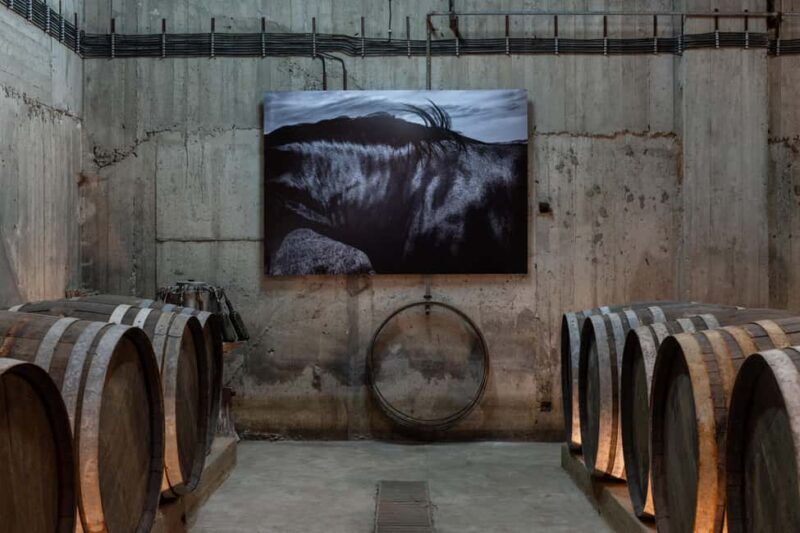 Wine Tasting at Paros Farming Community - Who Will Love This Tour?