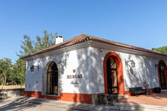 Wine tasting at Quinta das Murgas - An In-Depth Look at the Quinta das Murgas Wine Tasting Tour