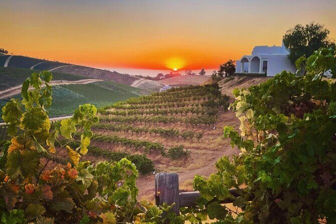 Wine Tasting Audio Tour - Paso Robles CA - In-Depth Look at the Paso Robles Wine Tasting Audio Tour