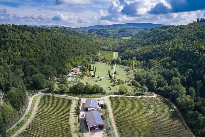 Wine Tasting by CarusVini in San Casciano in val di Pesa - A Closer Look at the CarusVini Experience