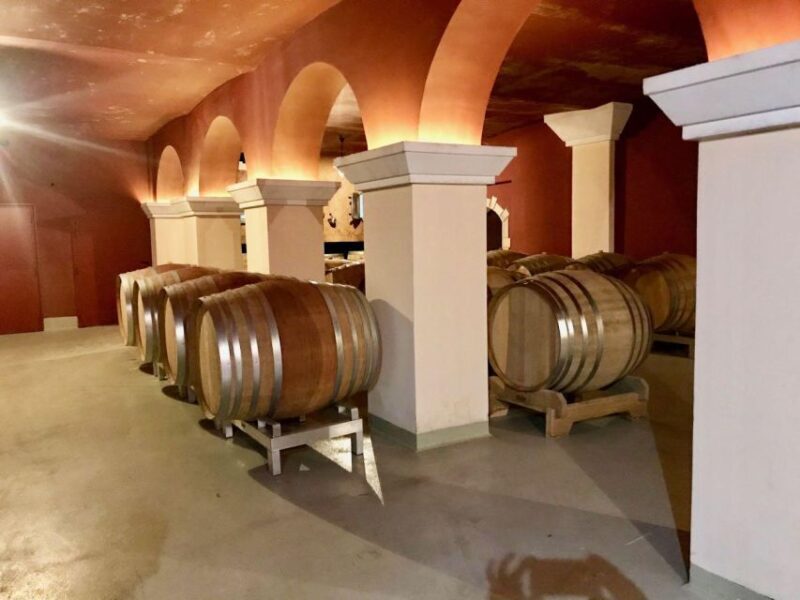 Wine Tasting, Cannes, Famous Designers and Perfume Factory - Key Points