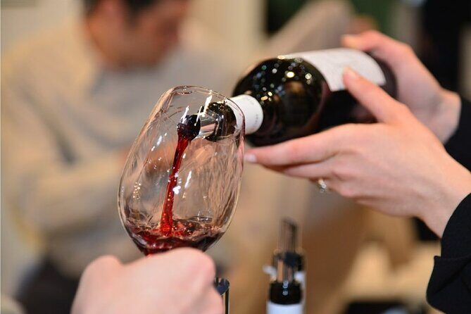 Wine Tasting - A Deep Dive into Puglia’s Wine Culture
